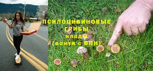 мяу мяу кристалл Надым