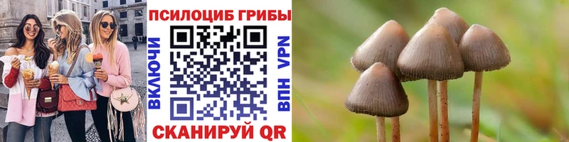 Галлюциногенные грибы ЛСД  Дзержинский 